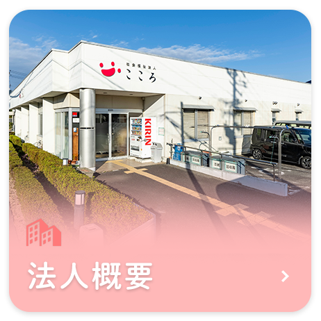 法人概要
